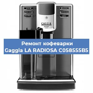 Замена прокладок на кофемашине Gaggia LA RADIOSA C058555B5 в Воронеже